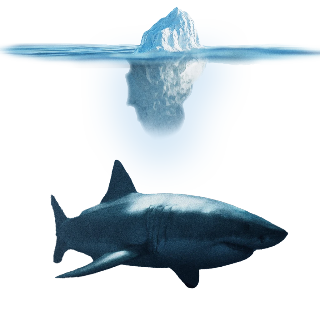 Haie in eisigen Gewässern