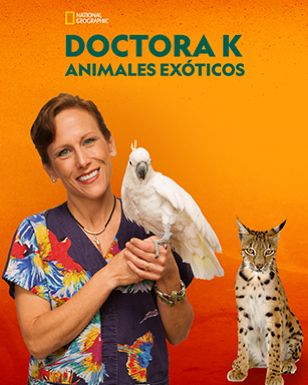 Dr. K. Exotic animals