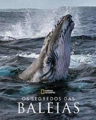 Os Segredos das Baleias