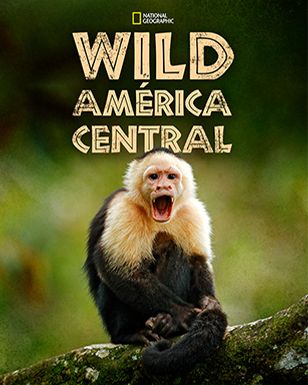 Wild América Central