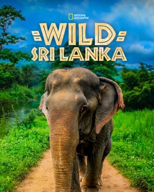 Wild Sri Lanka