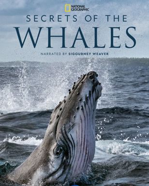 Secrets of The Whales