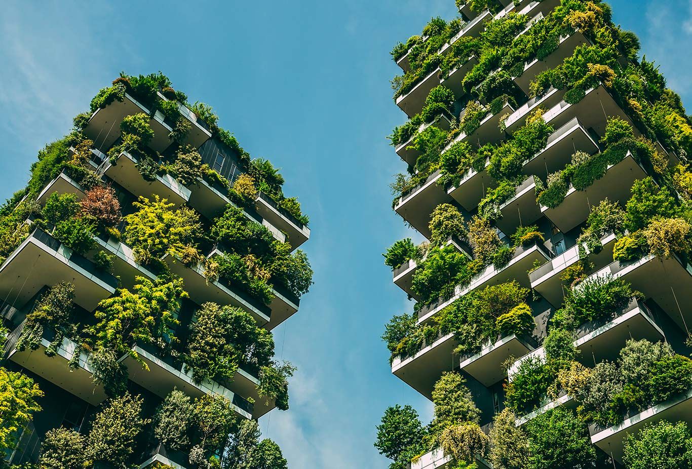 Green Leader: le aziende sostenibili e il futuro del pianeta