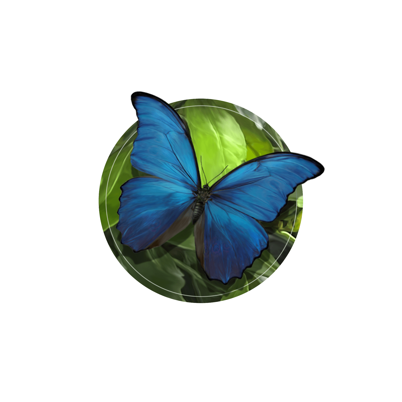 Ilustração de uma borboleta azul iridescente no tronco de uma árvore
