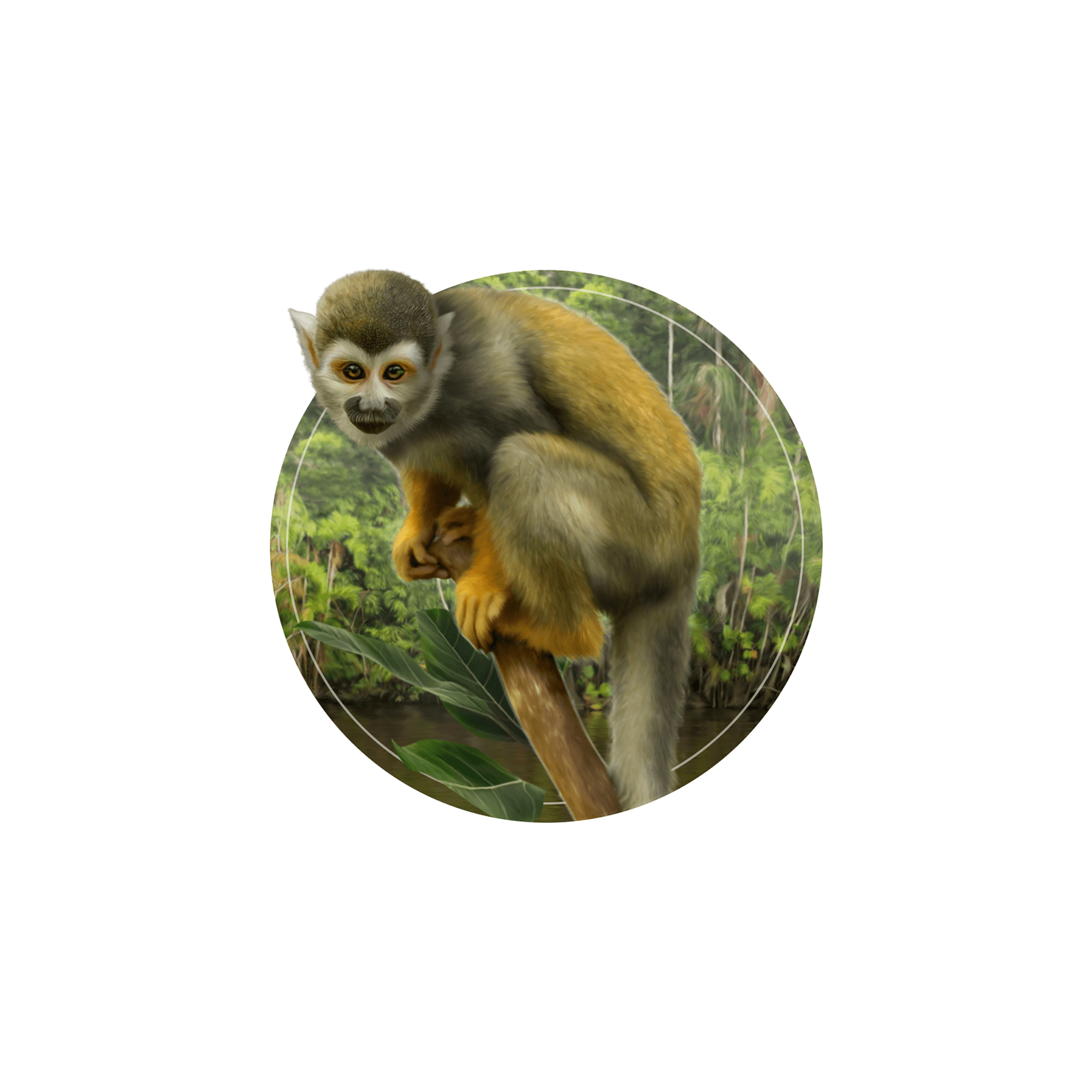 Ilustração de um macaco-de-cheiro em galho de árvore