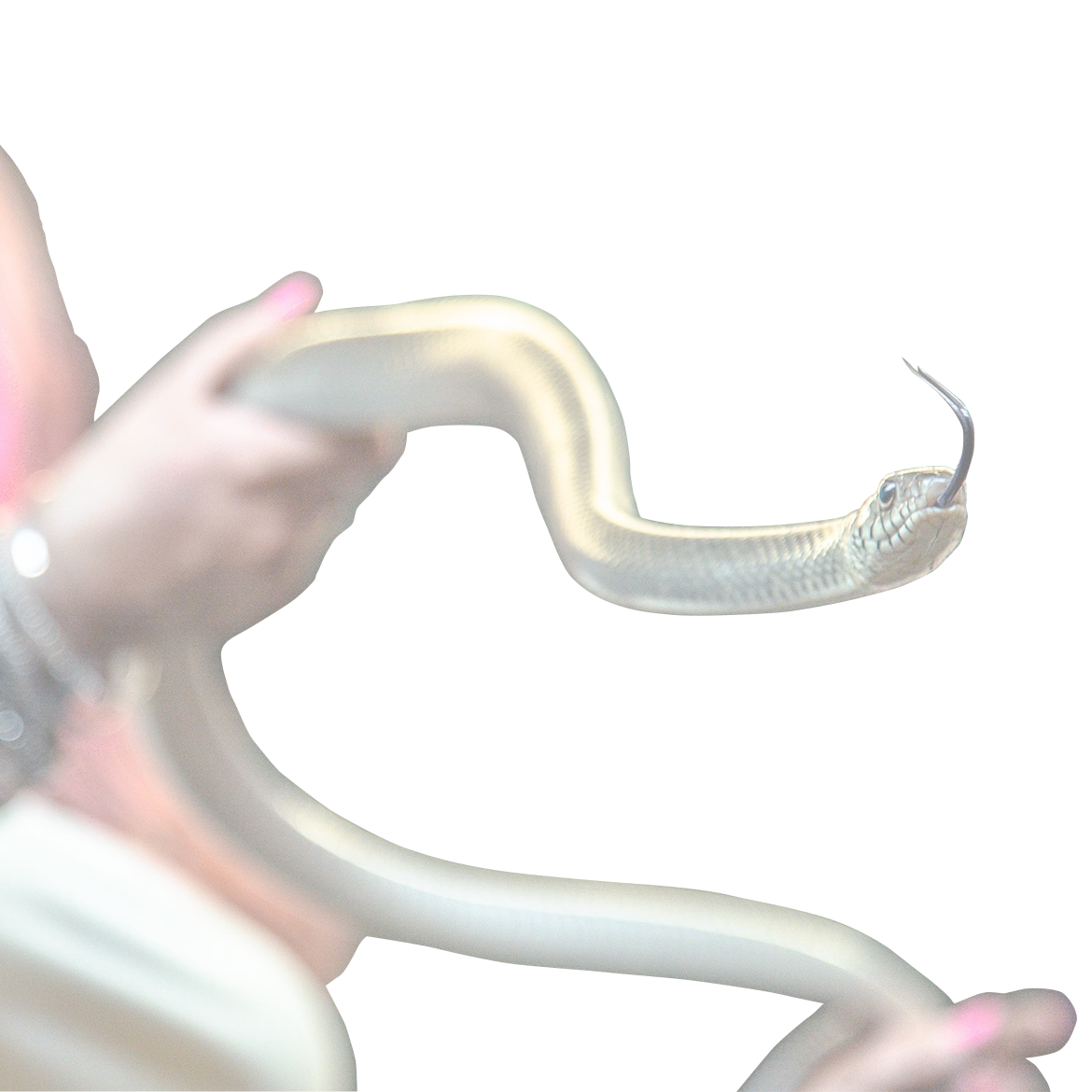 Un șarpe mortal