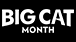 Big Cats Month
